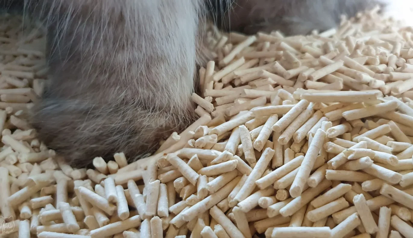 tofu cat litter